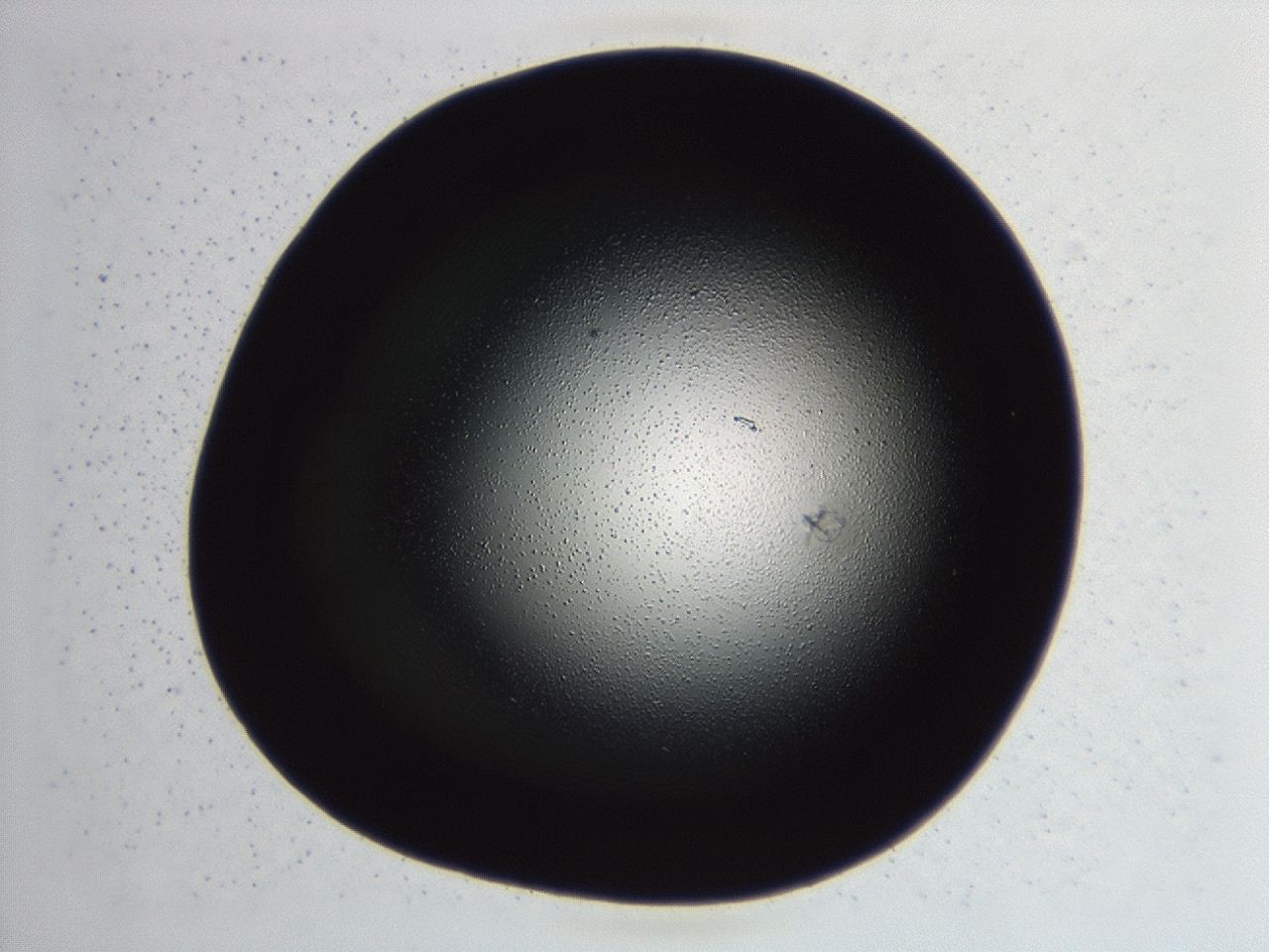 04hu_F4_ImagerDefaults_3.jpg