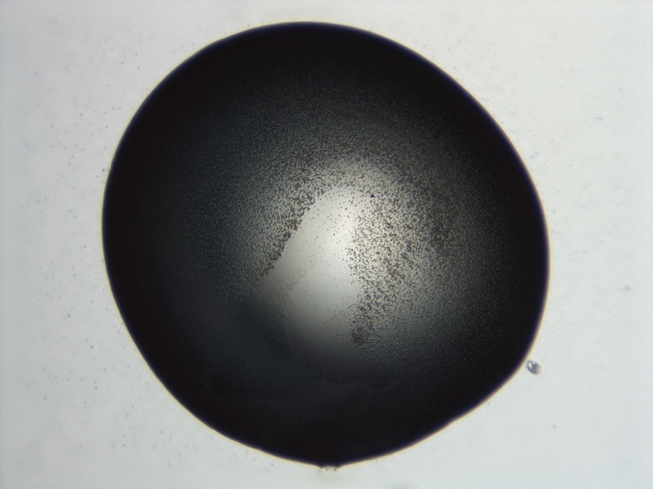 04hu_F8_ImagerDefaults_3.jpg