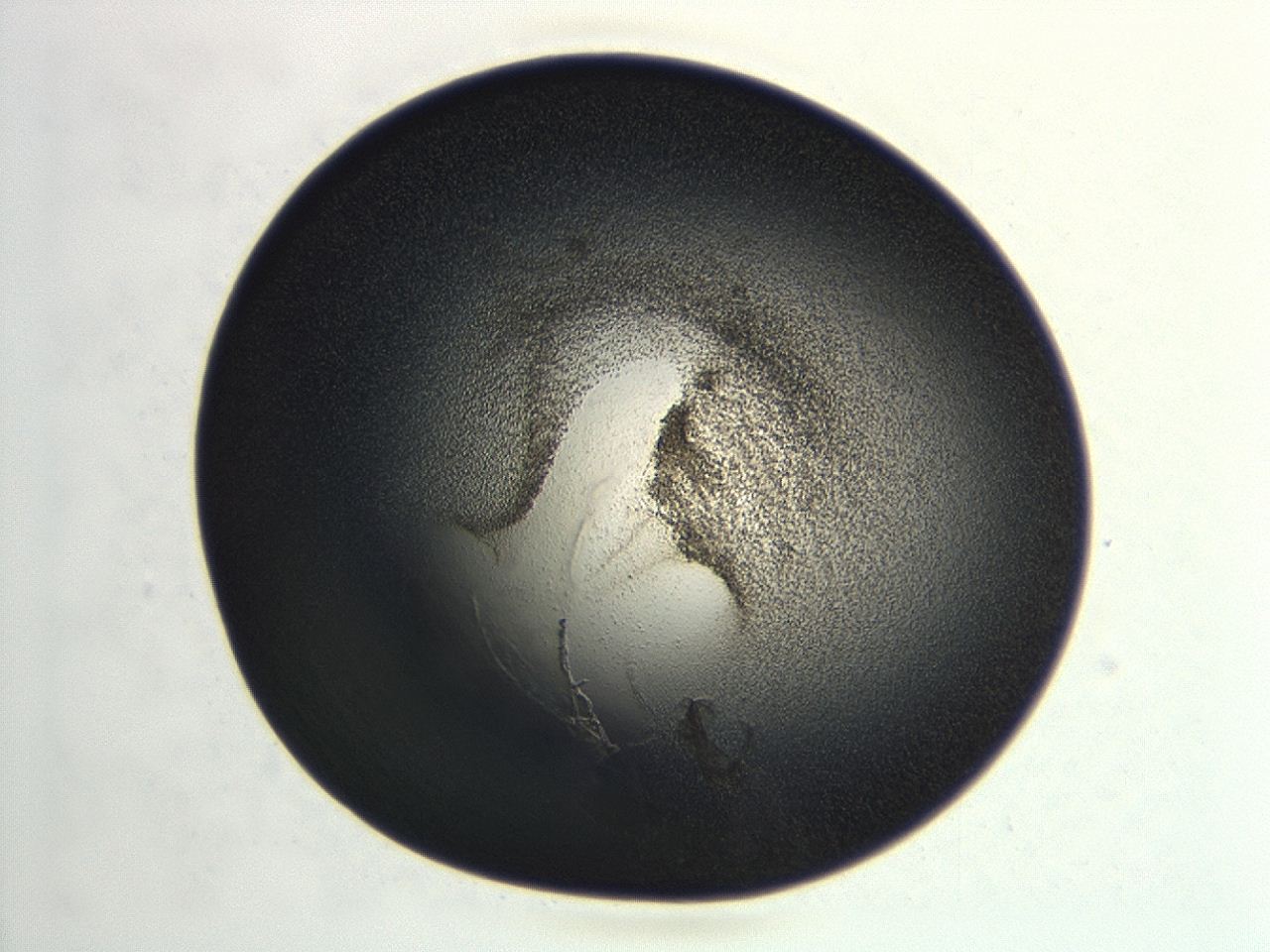 04hu_F9_ImagerDefaults_3.jpg
