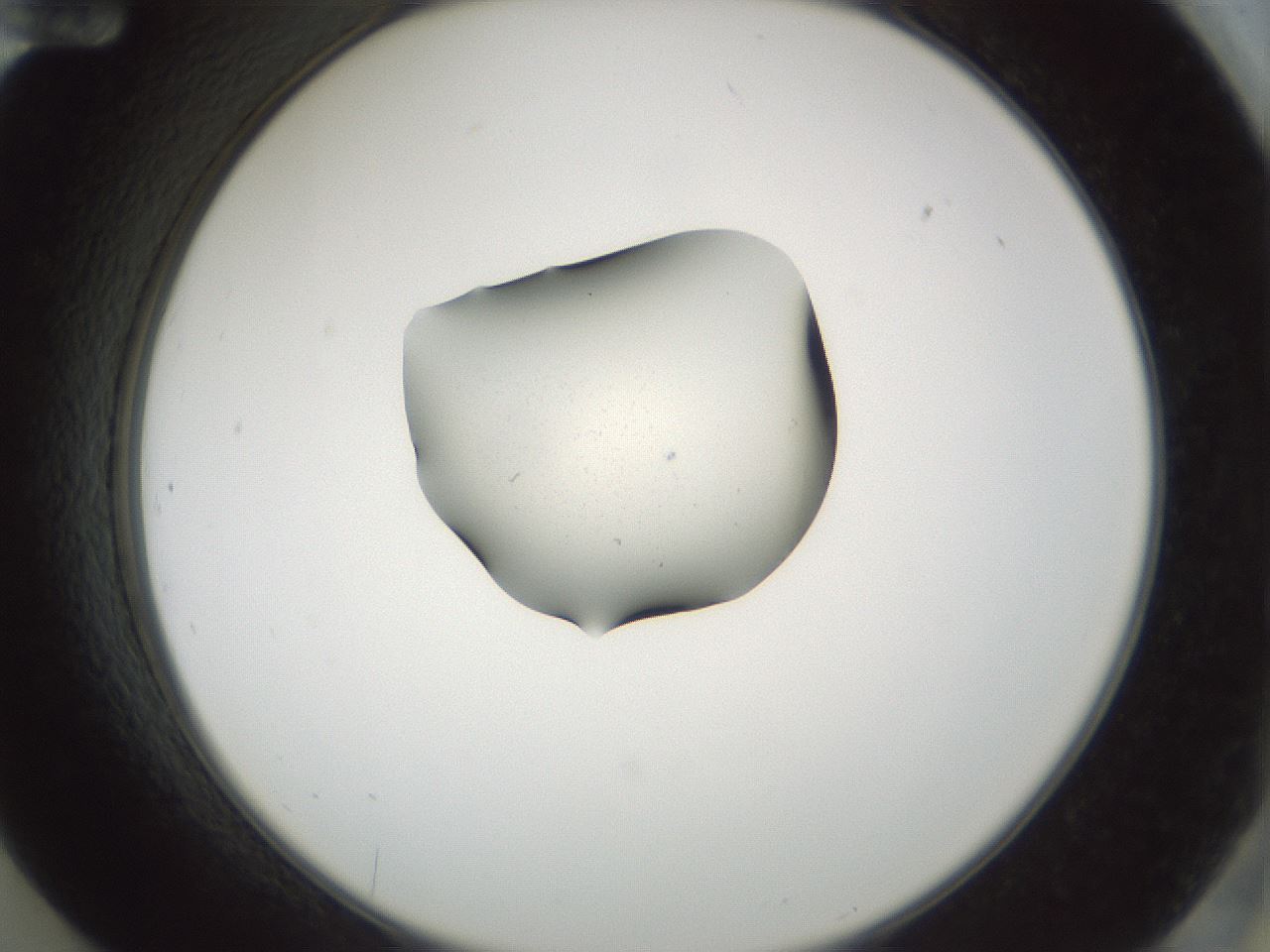folderID248_plateID3248_batchID20099_wellNum84_profileID1_d2_r285738_ef.jpg