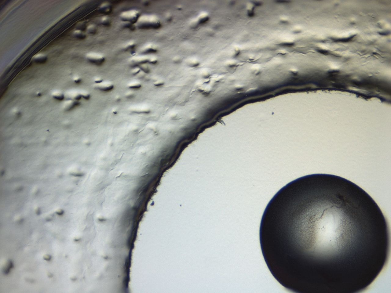 04hu_F10_ImagerDefaults_3.jpg