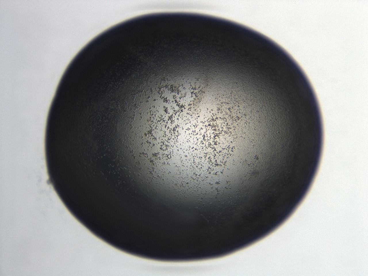 04hu_F12_ImagerDefaults_3.jpg