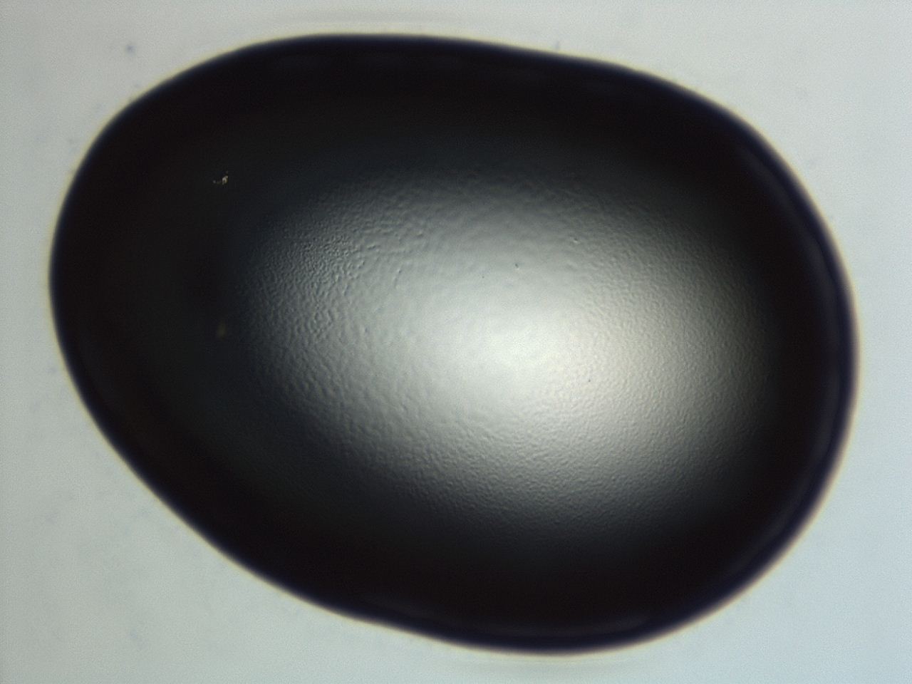 04hu_G1_ImagerDefaults_0.jpg