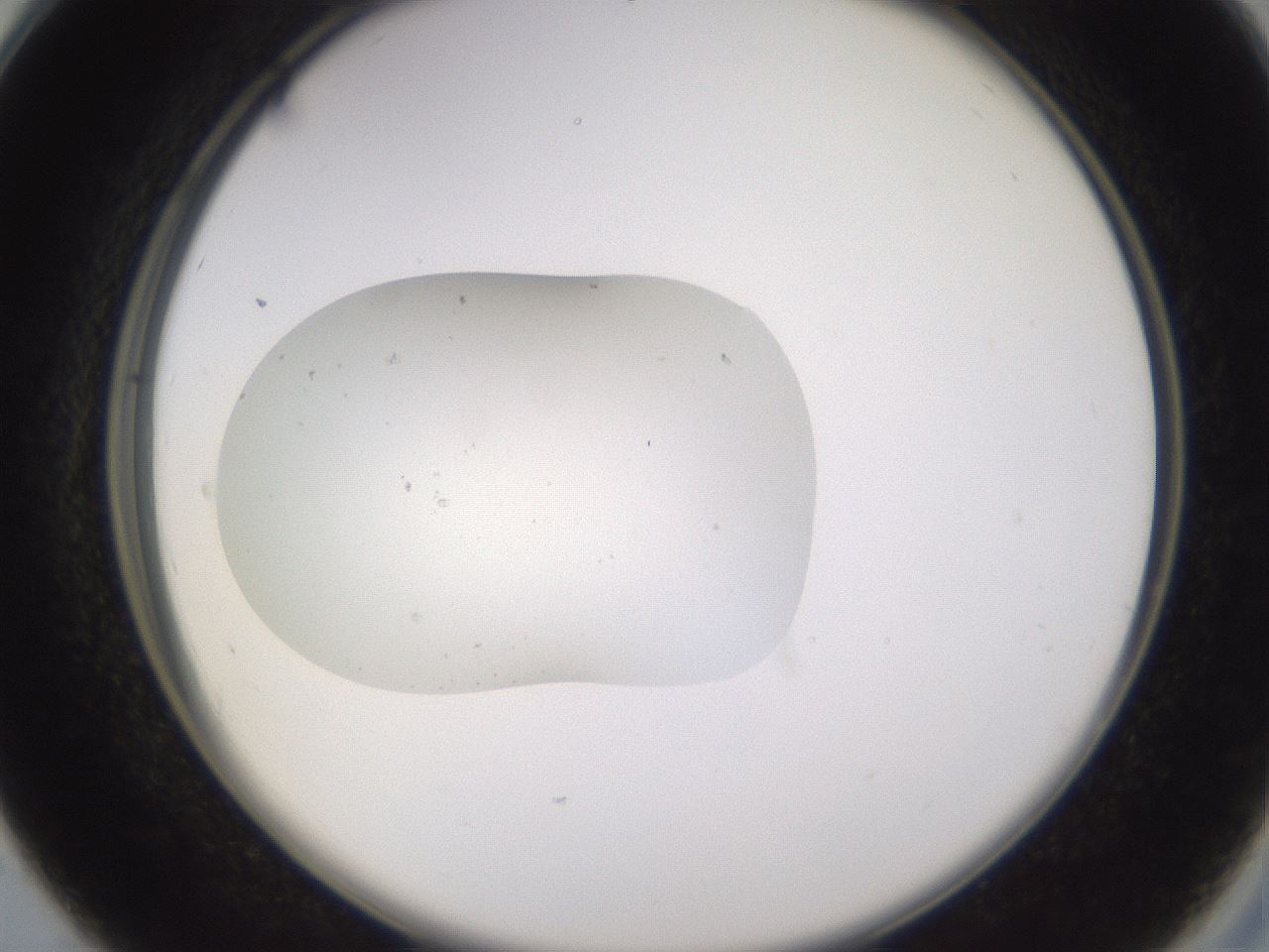 folderID249_plateID3249_batchID20130_wellNum28_profileID1_d2_r285818_ef.jpg