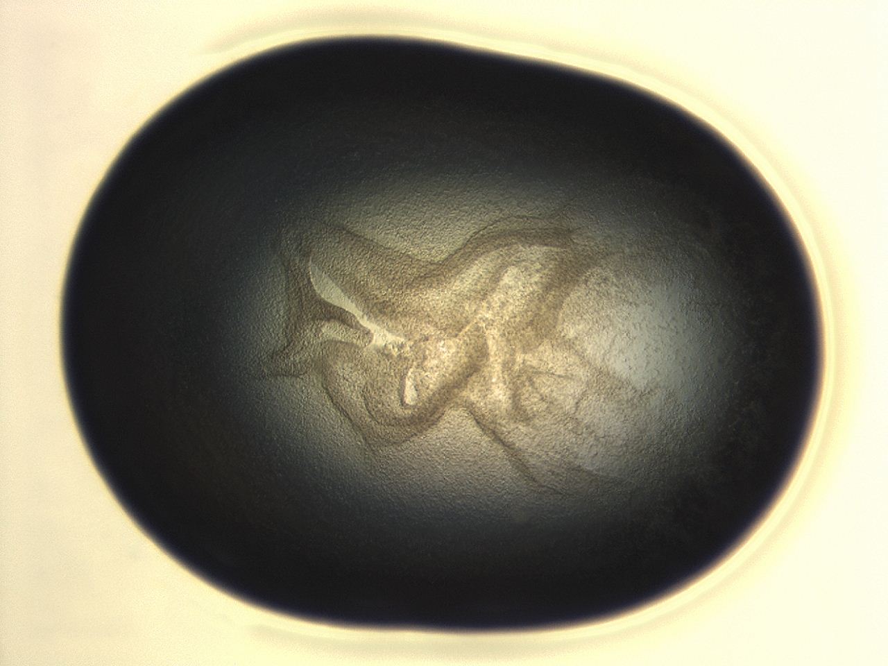 04hu_G2_ImagerDefaults_3.jpg