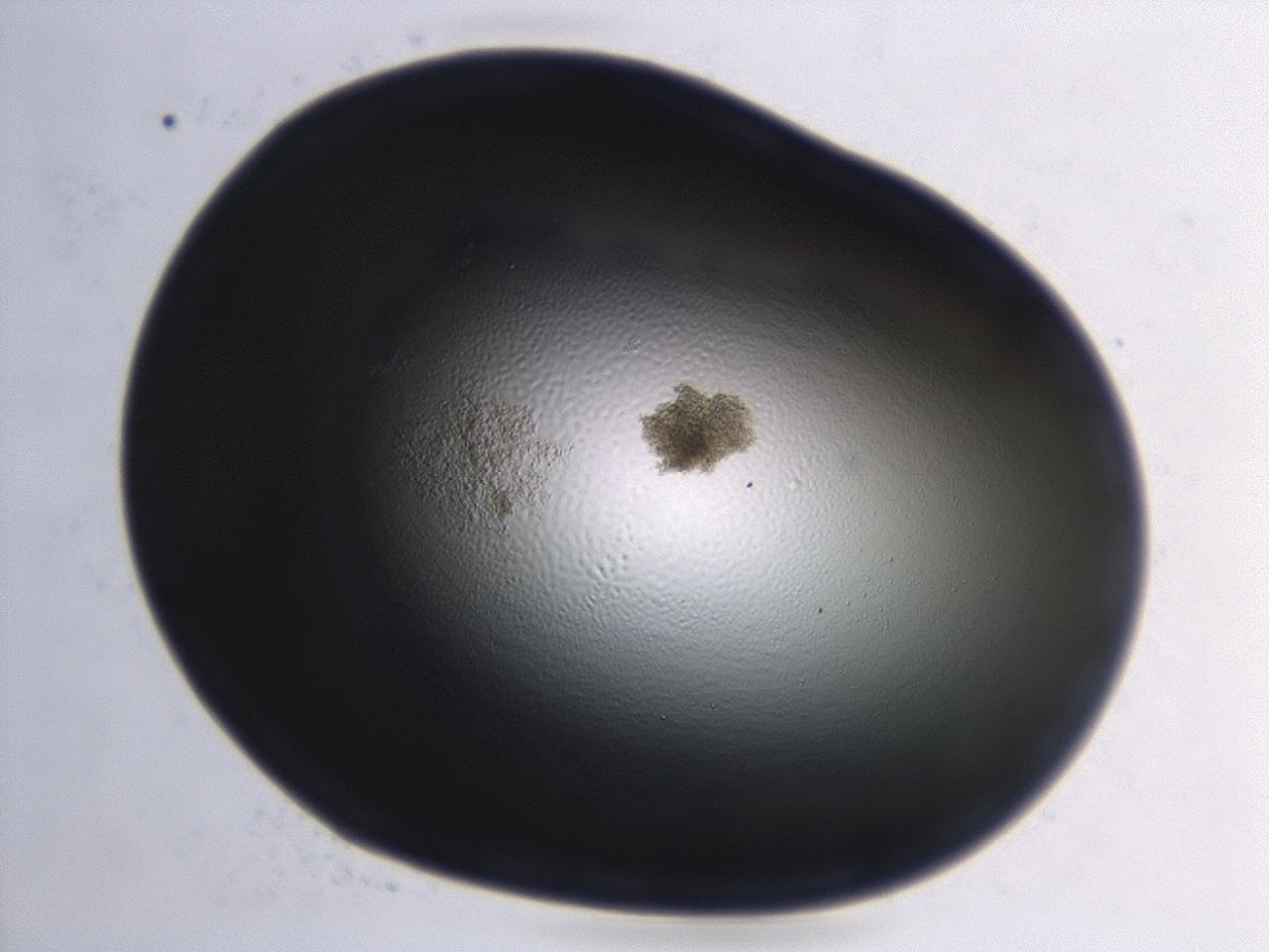 04hu_G3_ImagerDefaults_3.jpg