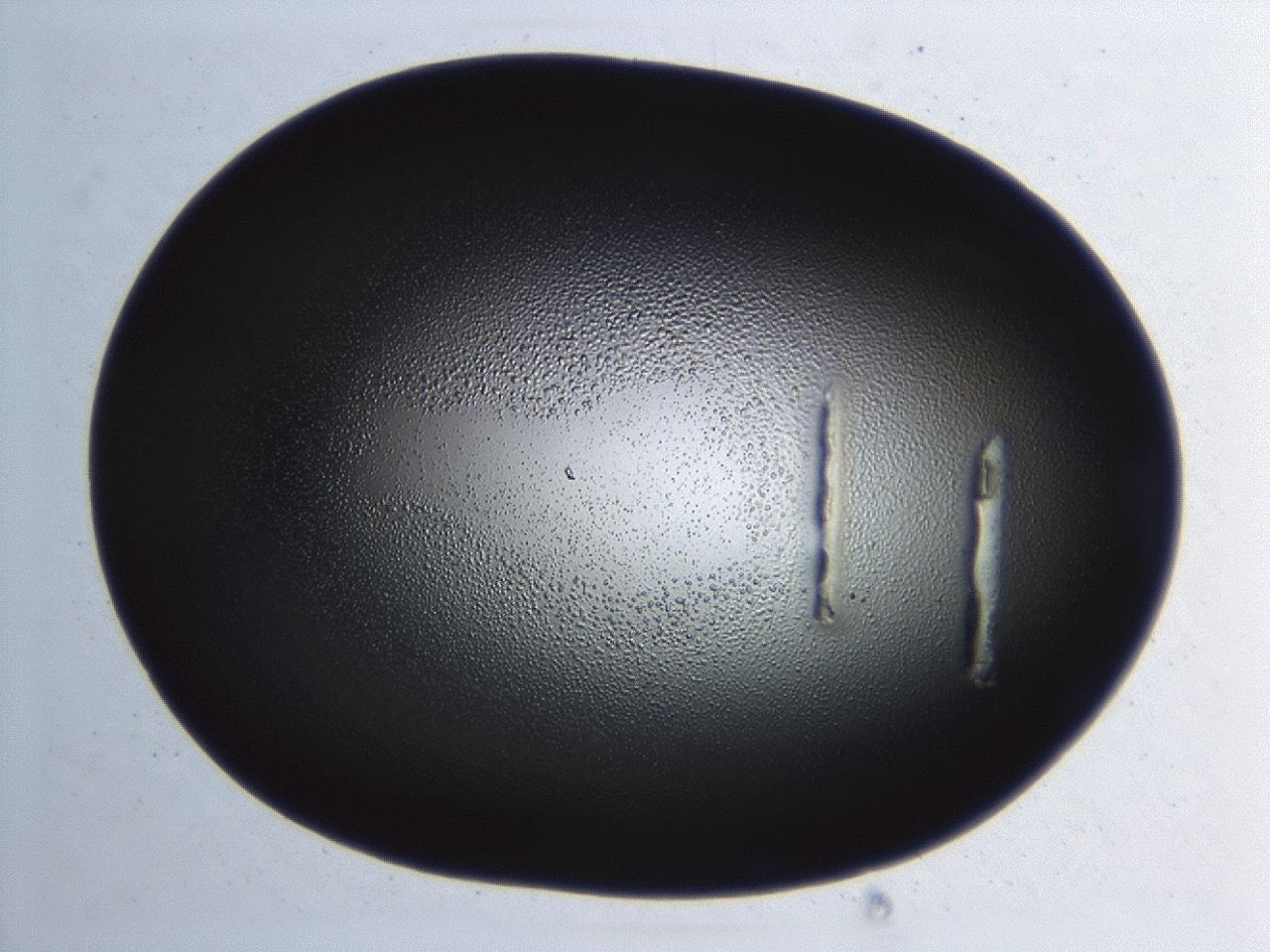 04hu_G7_ImagerDefaults_3.jpg