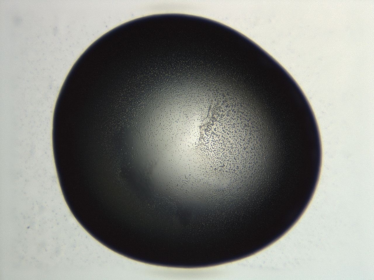 04hu_G9_ImagerDefaults_2.jpg