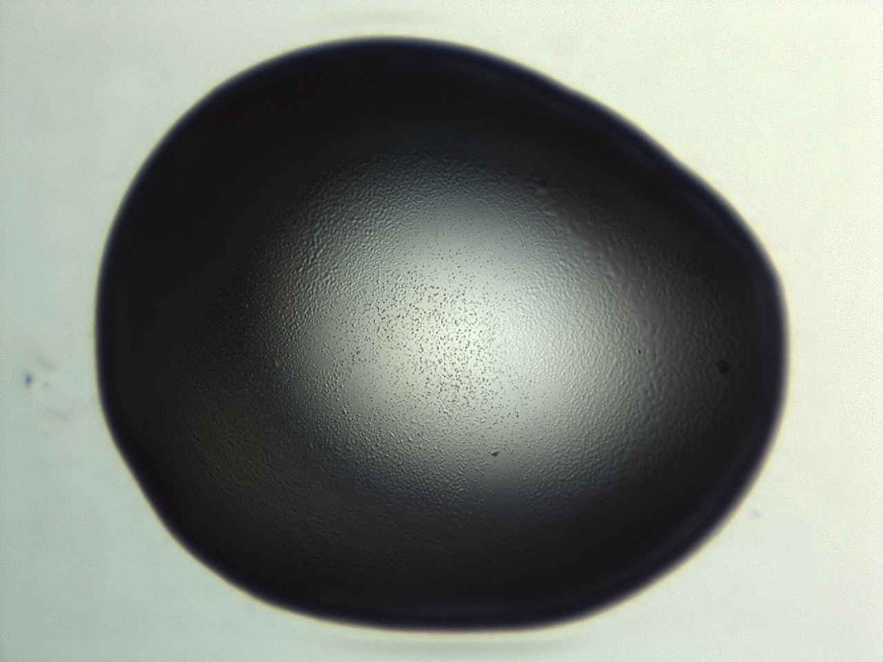 04hu_G11_ImagerDefaults_0.jpg