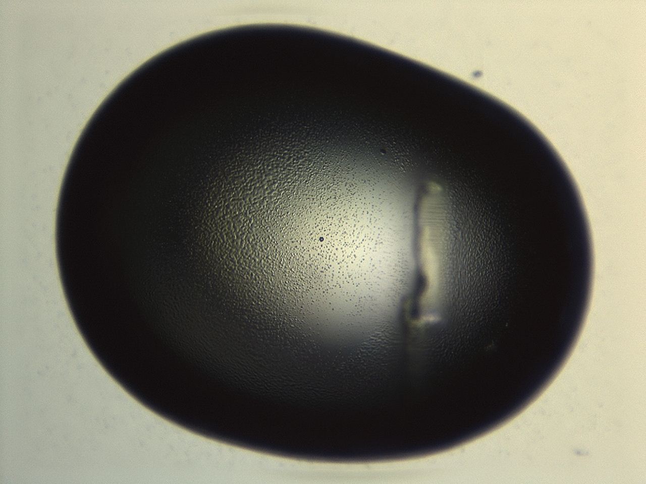 04hu_H7_ImagerDefaults_2.jpg
