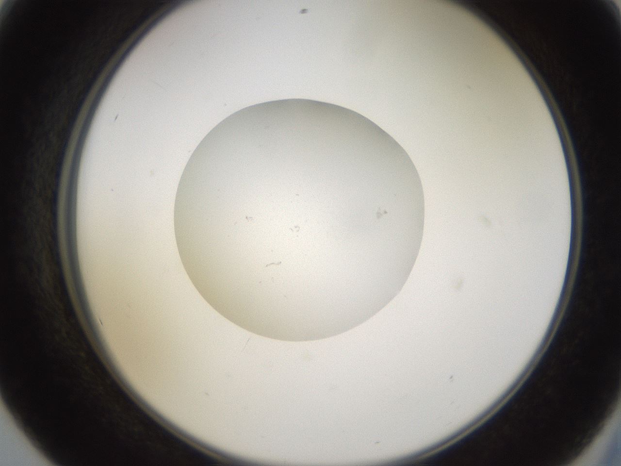 folderID252_plateID3252_batchID18362_wellNum56_profileID1_d2_r285298_ef.jpg