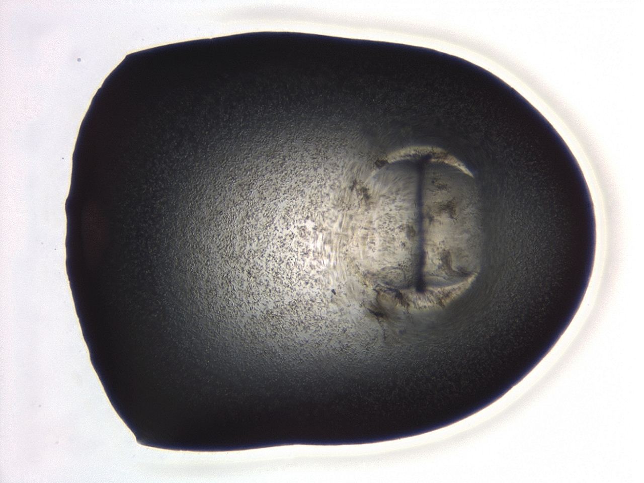 04hv_A7_ImagerDefaults_3.jpg