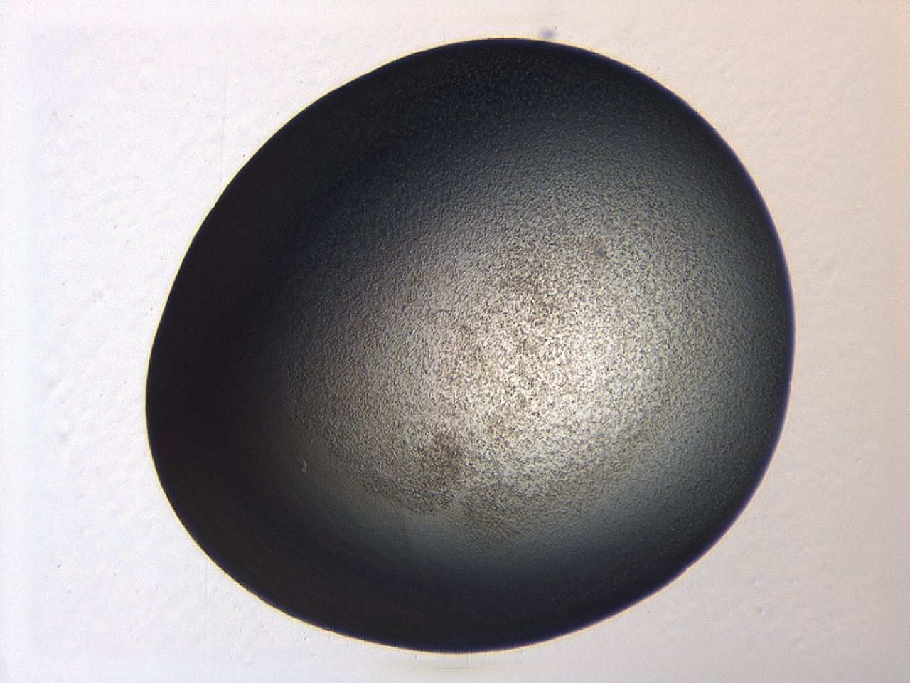 04hv_A9_ImagerDefaults_3.jpg