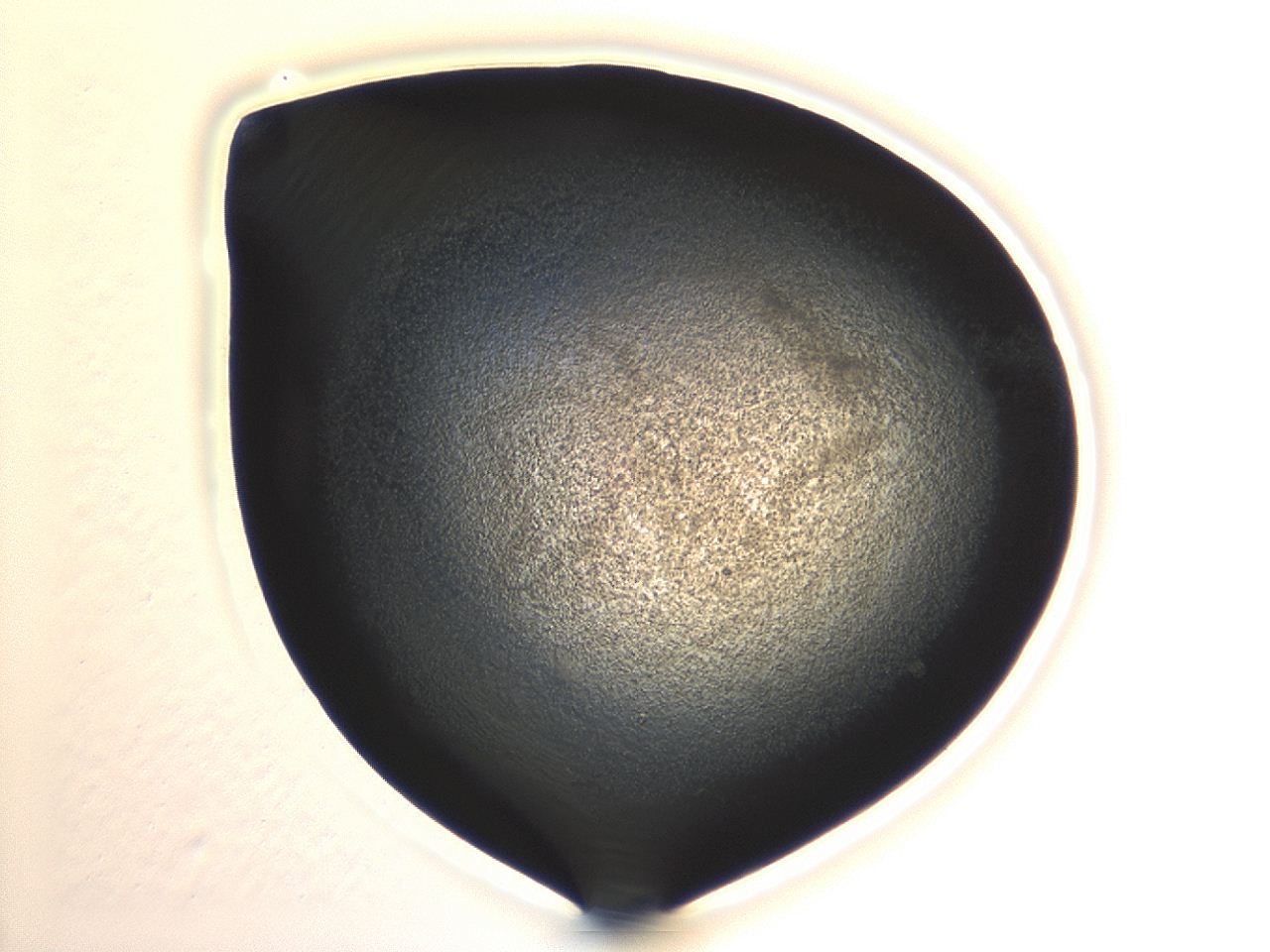 04hv_A10_ImagerDefaults_3.jpg