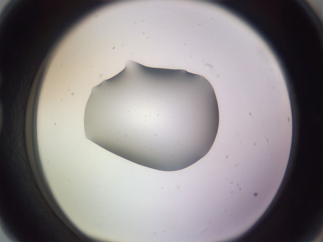 folderID253_plateID3253_batchID18412_wellNum80_profileID1_d1_r286113_ef.jpg