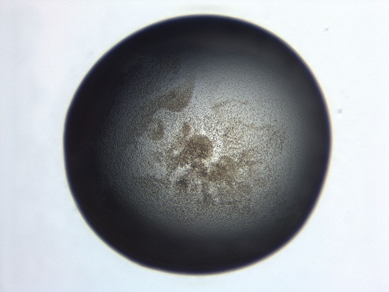 04hv_C1_ImagerDefaults_3.jpg