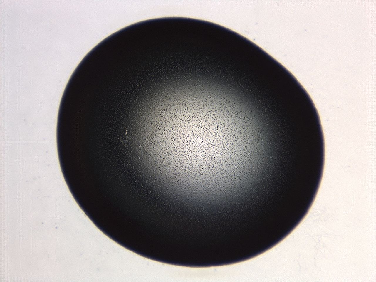 04hv_C3_ImagerDefaults_3.jpg