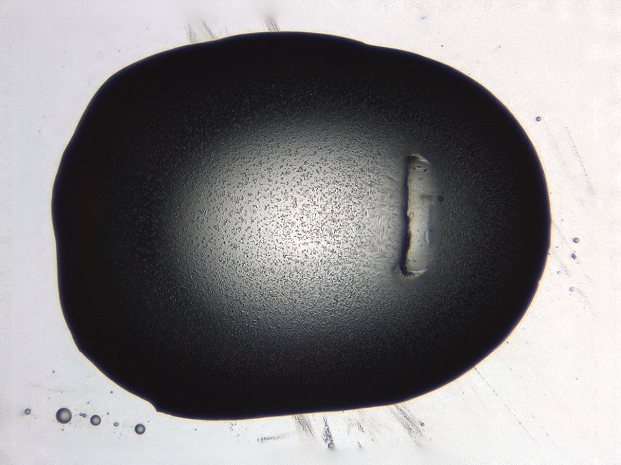 04hv_C7_ImagerDefaults_3.jpg