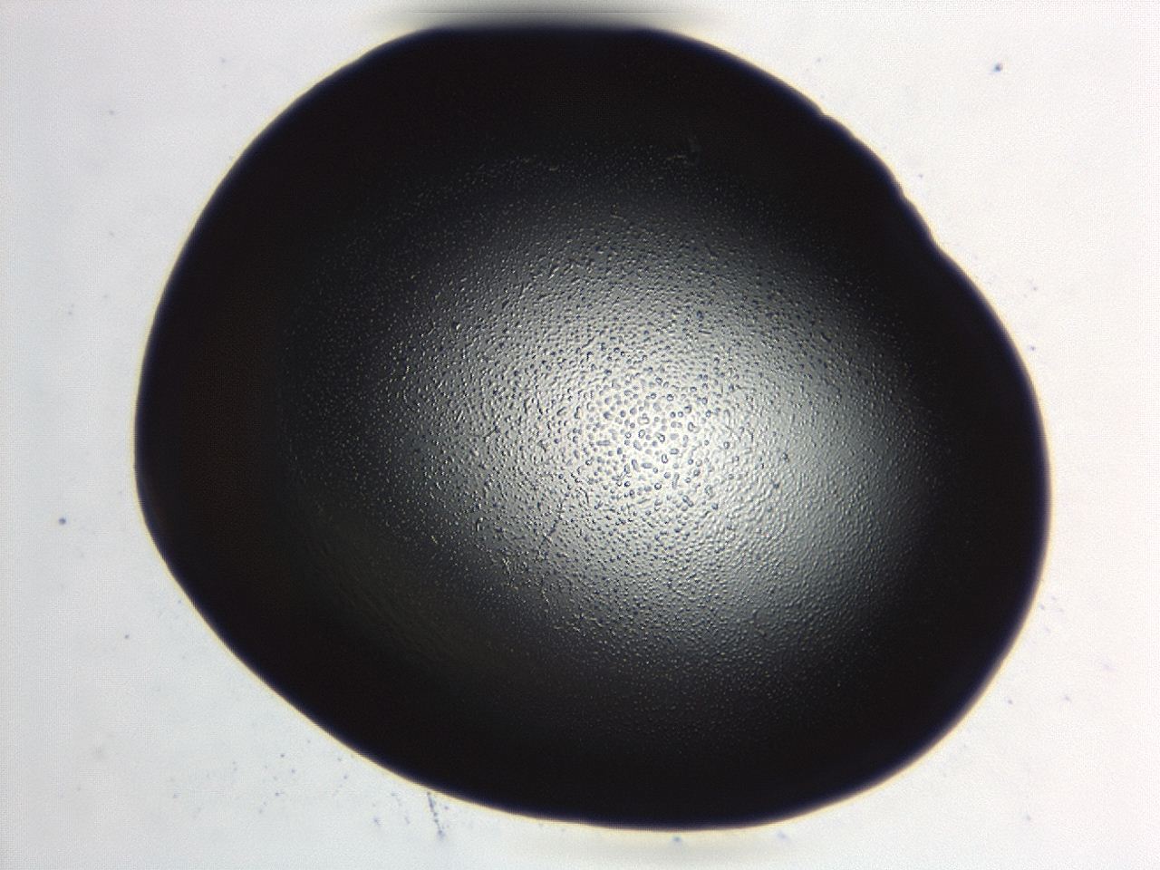 04hv_C8_ImagerDefaults_3.jpg