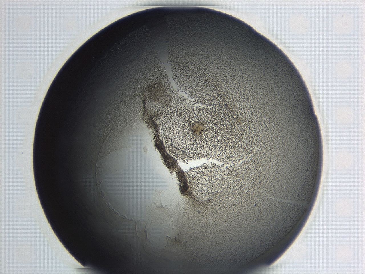 04hv_C9_ImagerDefaults_3.jpg