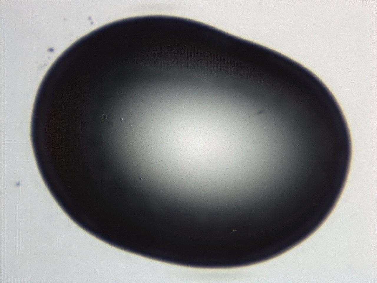 04hv_D1_ImagerDefaults_0.jpg