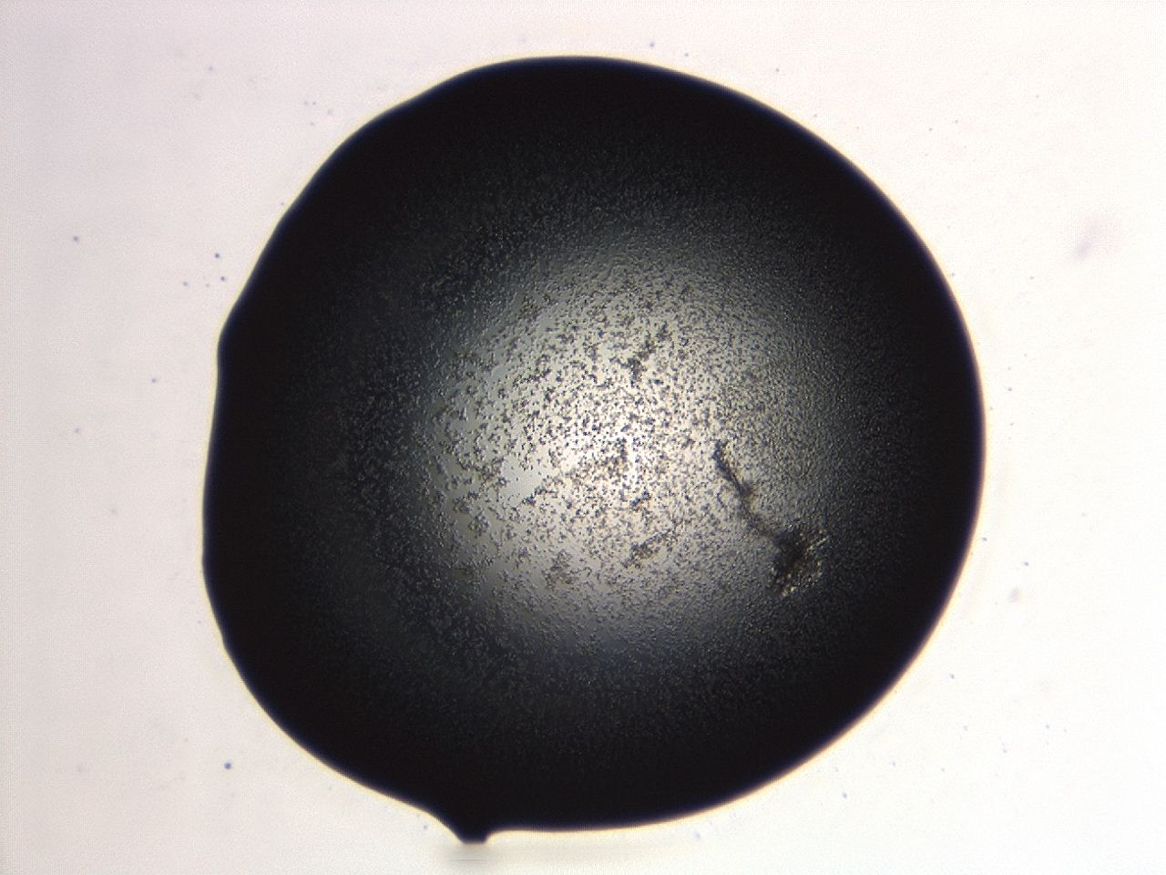 04hv_B10_ImagerDefaults_3.jpg