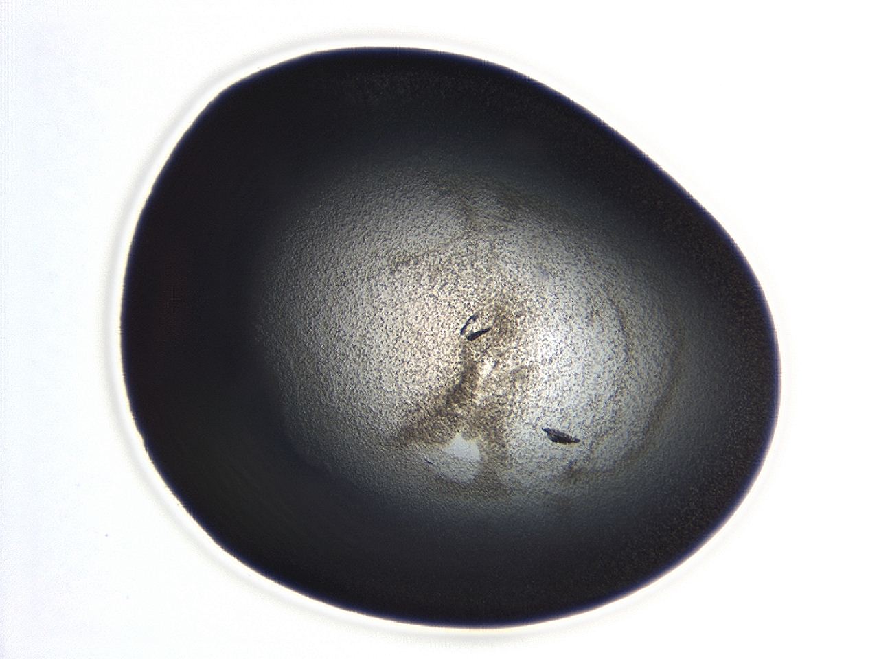 04hv_B8_ImagerDefaults_3.jpg