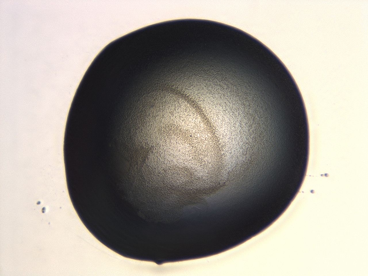04hv_B6_ImagerDefaults_3.jpg