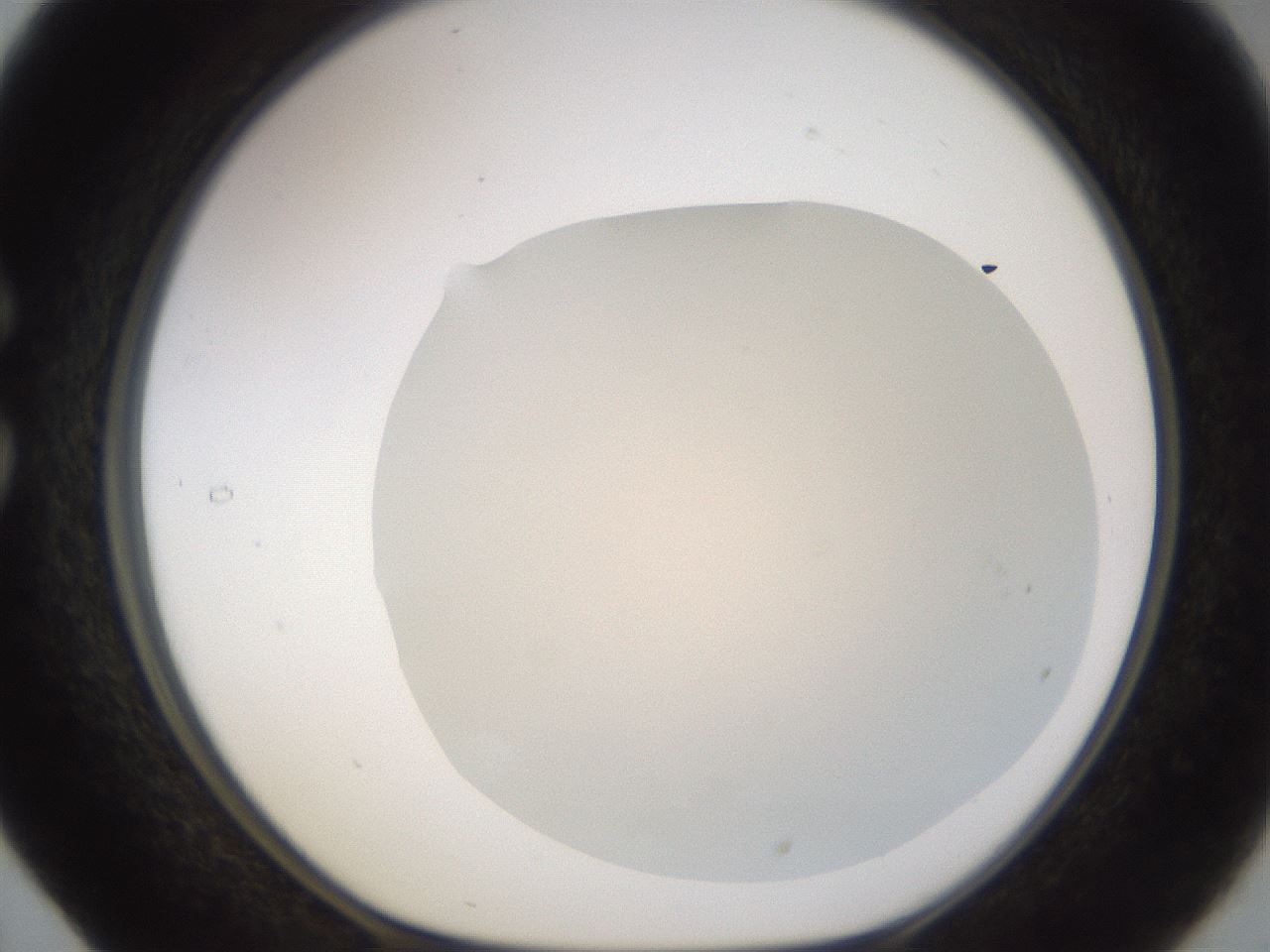 folderID265_plateID3265_batchID19552_wellNum29_profileID1_d1_r287751_ef.jpg