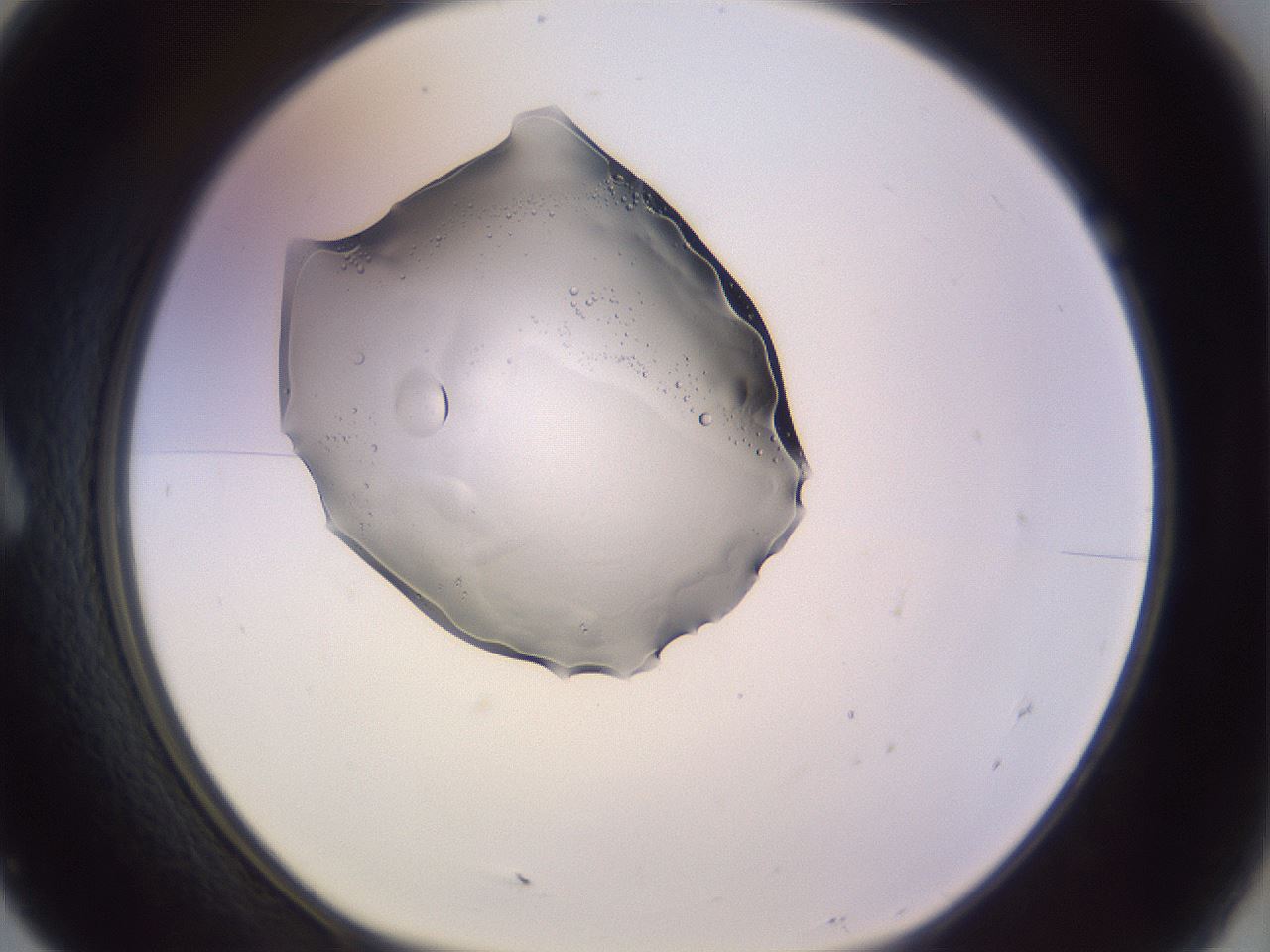 folderID264_plateID3264_batchID18789_wellNum7_profileID1_d1_r287235_ef.jpg
