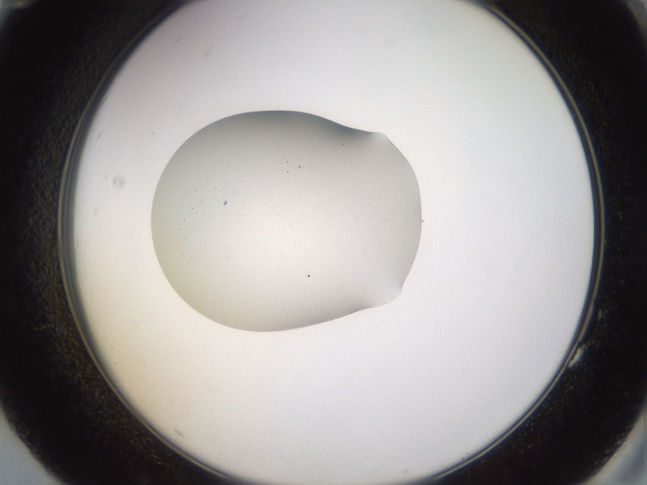 folderID267_plateID3267_batchID18553_wellNum83_profileID1_d2_r286900_ef.jpg