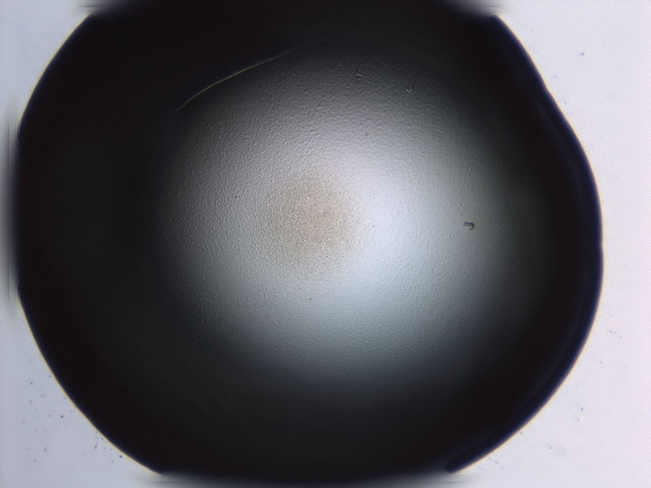 04hv_D6_ImagerDefaults_3.jpg