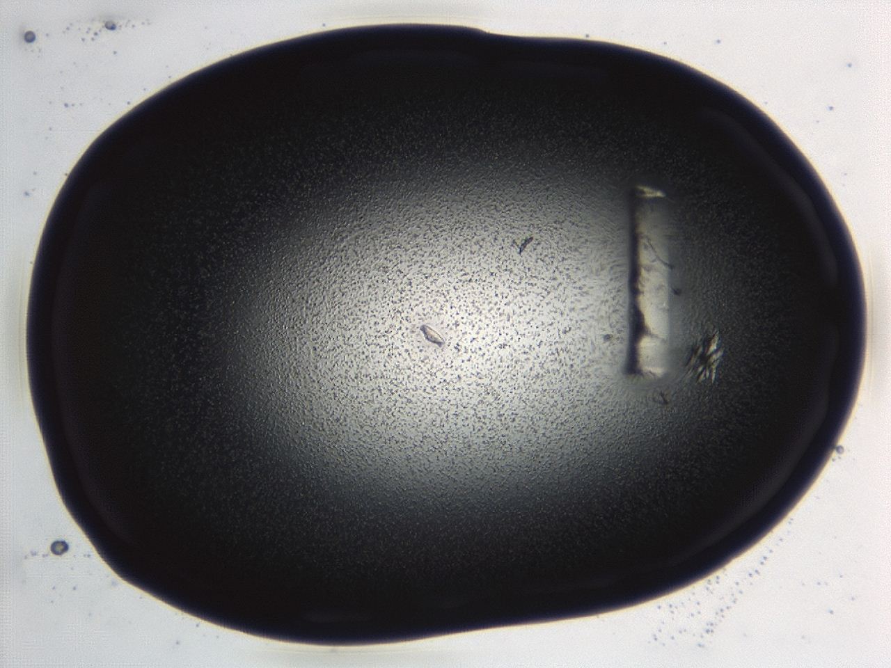04hv_D7_ImagerDefaults_3.jpg