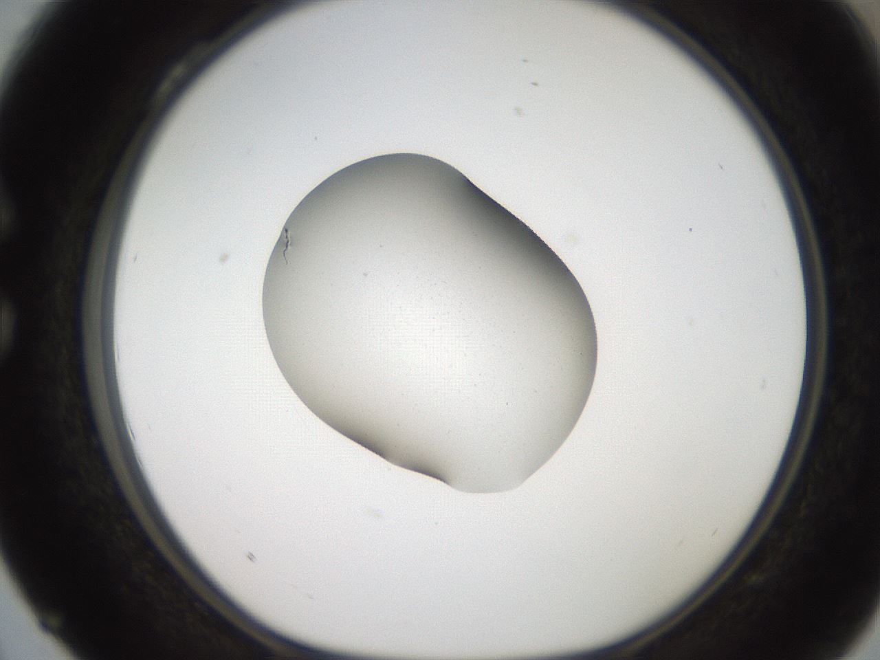 folderID269_plateID2269_batchID11209_wellNum28_profileID1_d1_r158371_ef.jpg