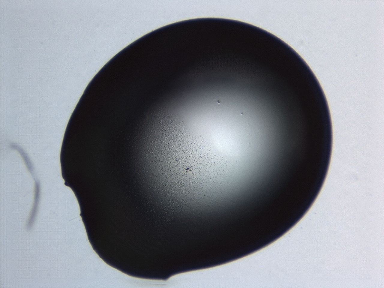 04hv_D10_ImagerDefaults_3.jpg