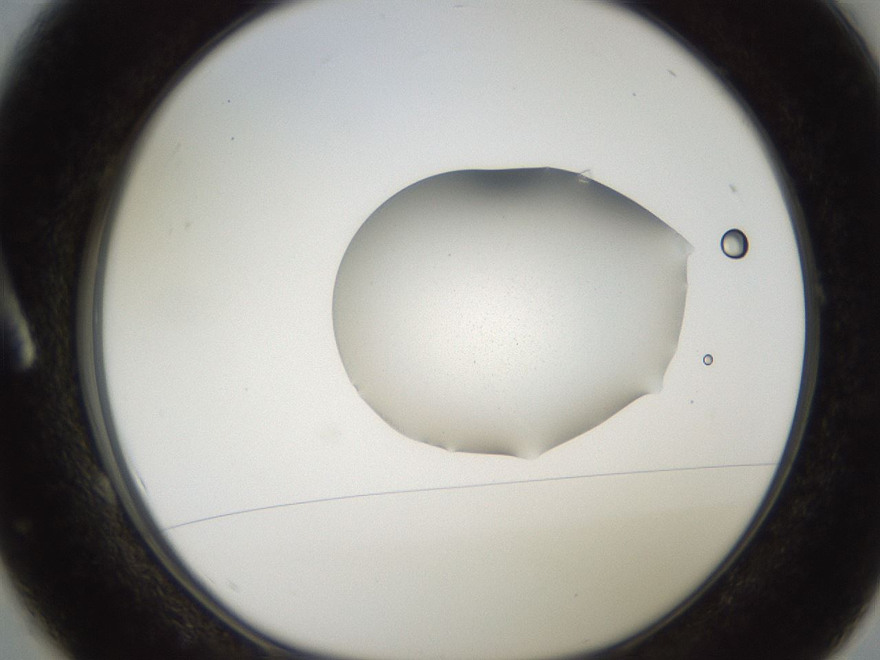 folderID271_plateID2271_batchID10563_wellNum1_profileID1_d1_r158440_ef.jpg