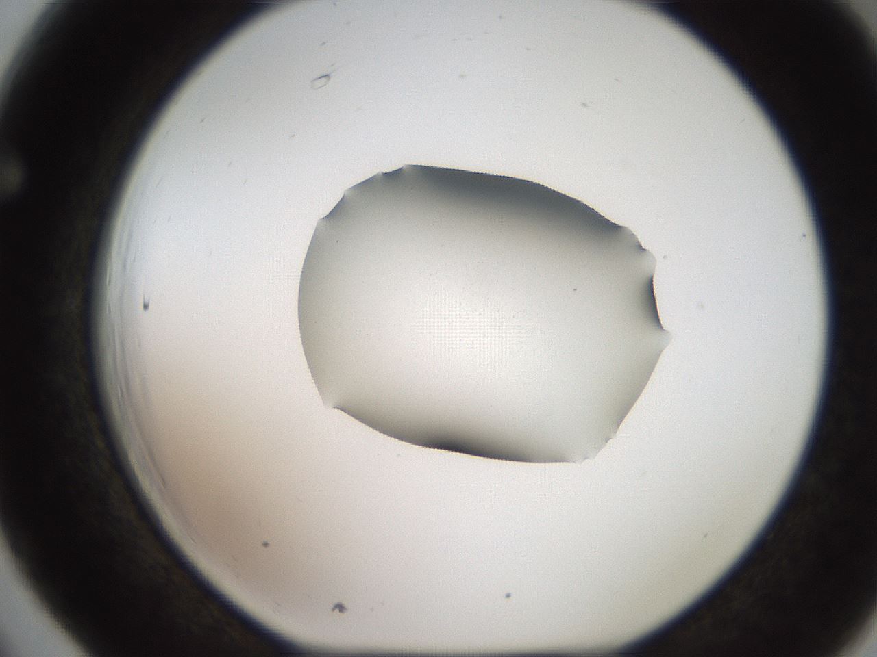 folderID271_plateID2271_batchID10563_wellNum66_profileID1_d1_r158505_ef.jpg