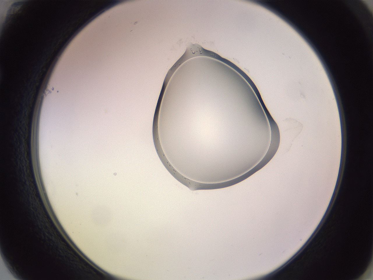 folderID276_plateID1276_batchID4099_wellNum61_profileID1_d1_r73072_ef.jpg