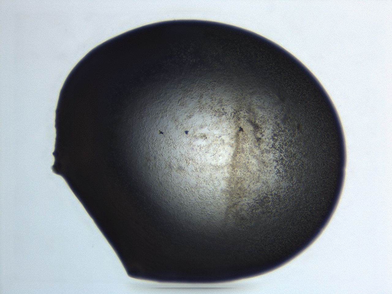 04hv_E10_ImagerDefaults_3.jpg