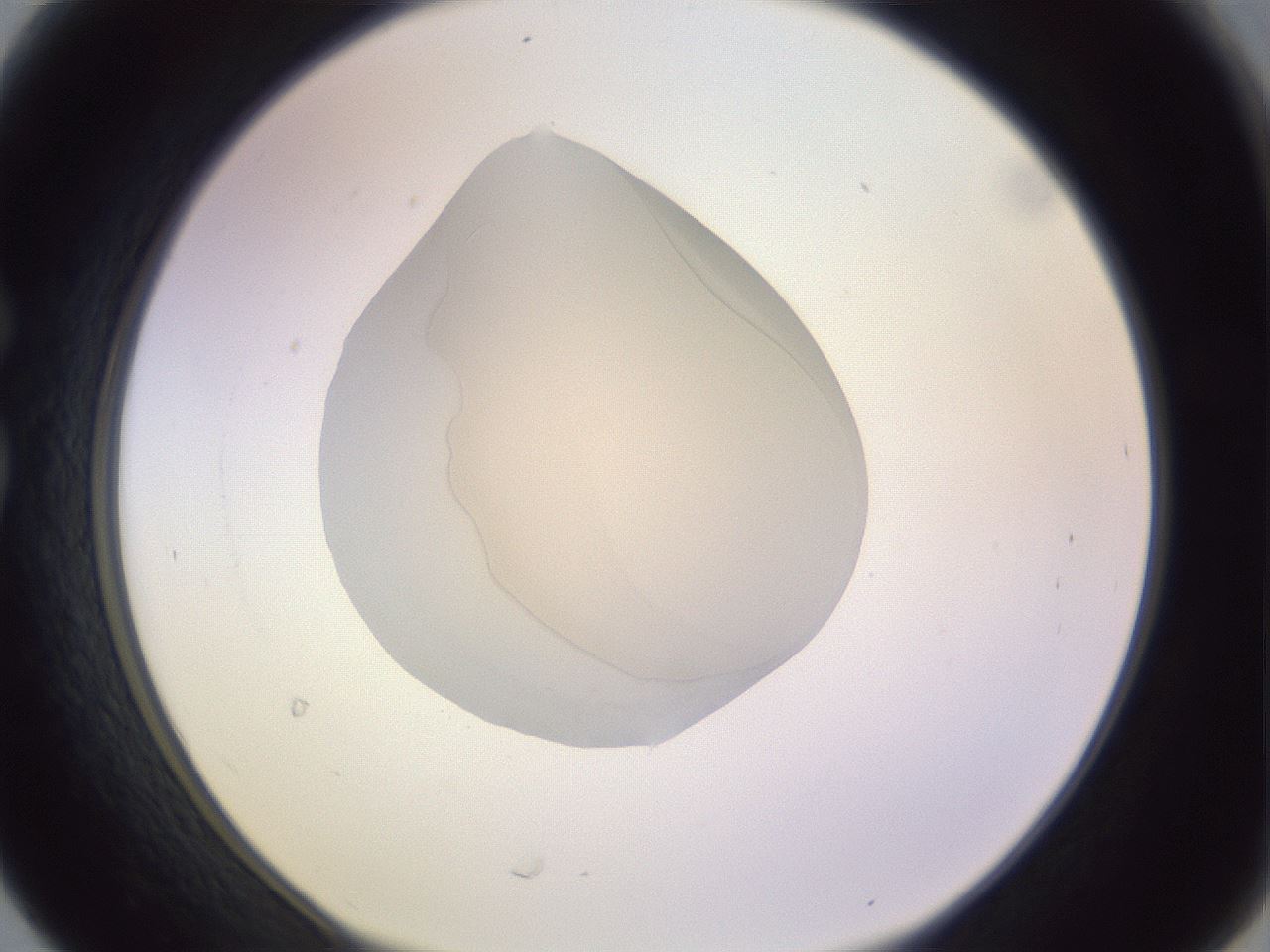 folderID277_plateID1277_batchID4412_wellNum30_profileID1_d1_r73586_ef.jpg