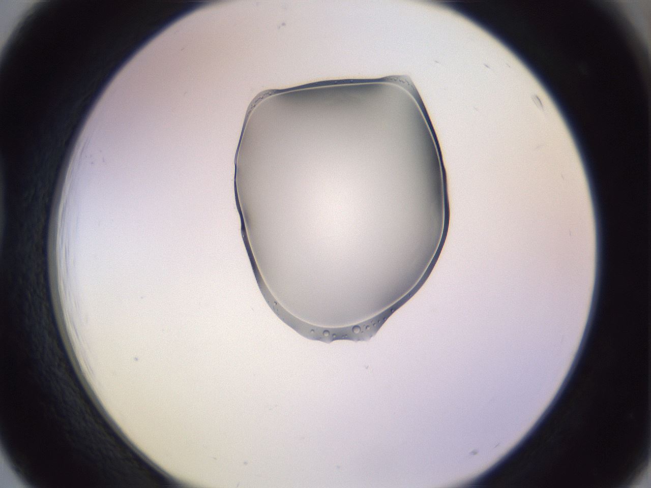 folderID279_plateID1279_batchID3944_wellNum39_profileID1_d1_r74948_ef.jpg