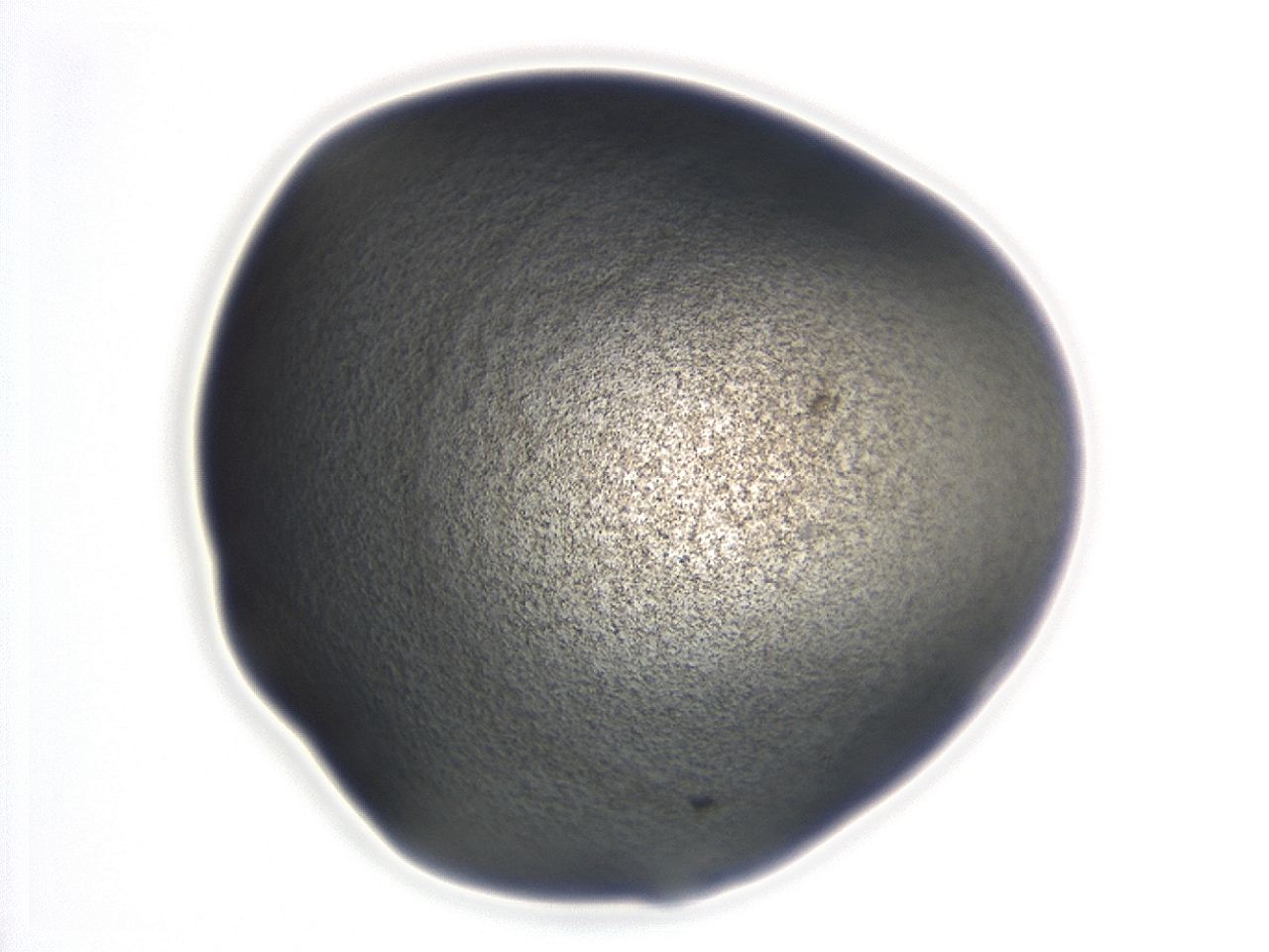 04hv_F12_ImagerDefaults_3.jpg