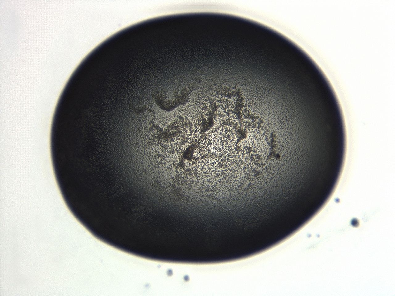 04hv_G1_ImagerDefaults_3.jpg