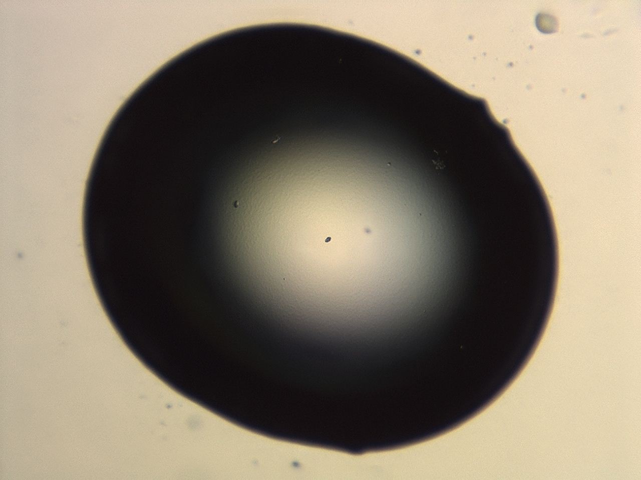 04hv_G2_ImagerDefaults_0.jpg