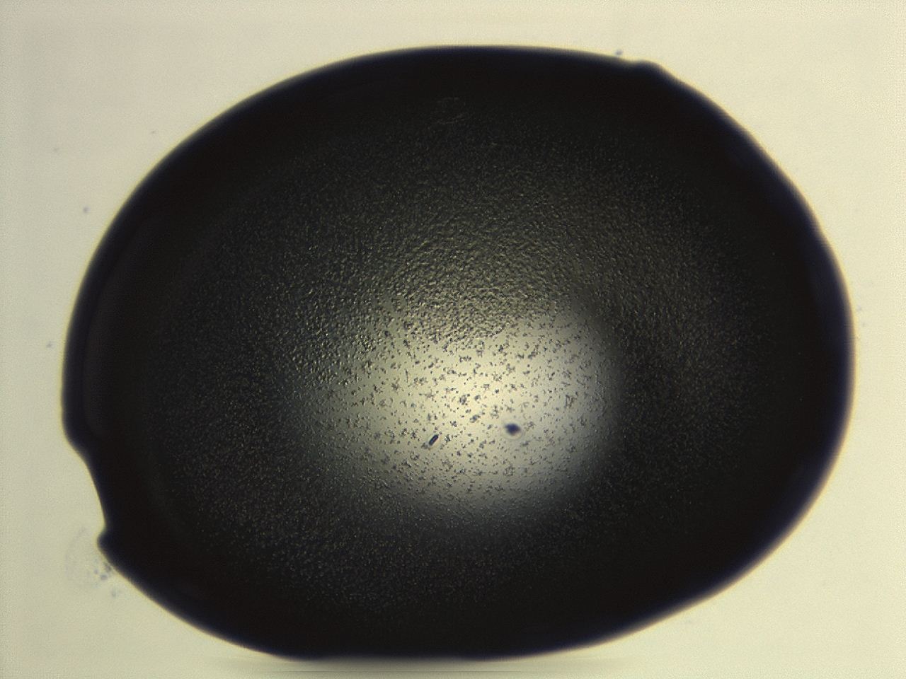 04hv_G10_ImagerDefaults_3.jpg