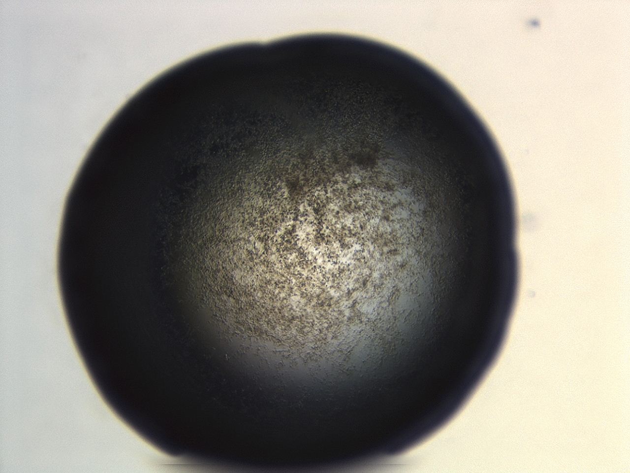 04hv_G12_ImagerDefaults_3.jpg