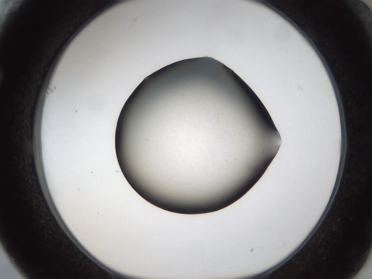 folderID285_plateID1285_batchID3924_wellNum61_profileID1_d1_r77428_ef.jpg