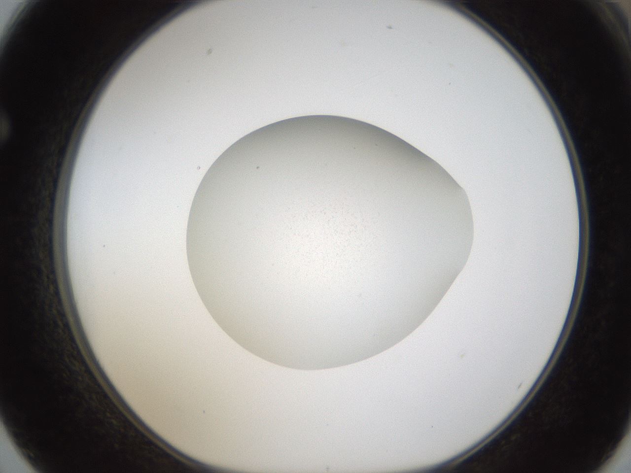 folderID285_plateID1285_batchID3924_wellNum62_profileID1_d1_r77429_ef.jpg