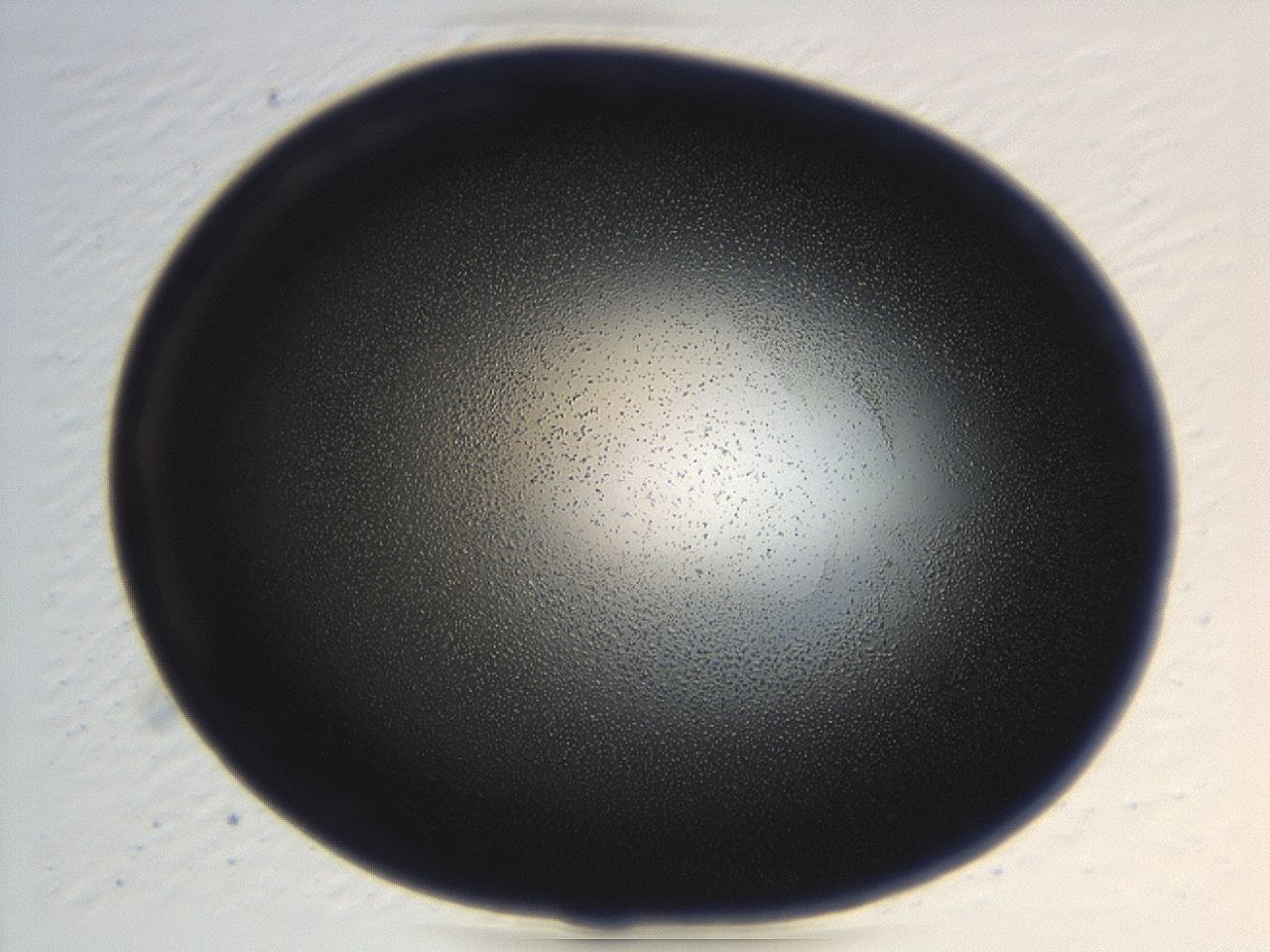 04hv_H8_ImagerDefaults_3.jpg
