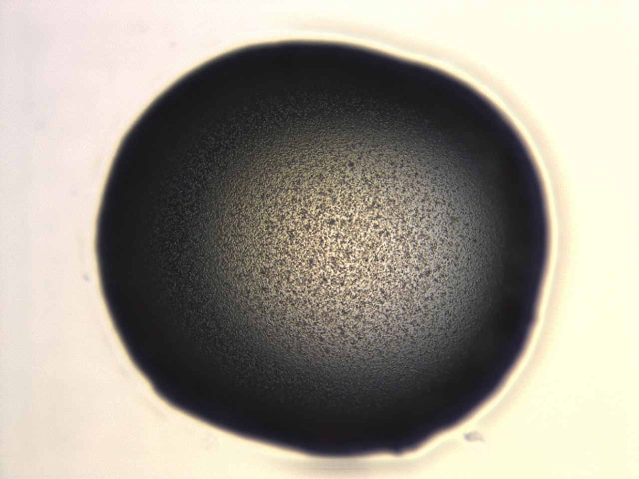 04hv_H10_ImagerDefaults_3.jpg